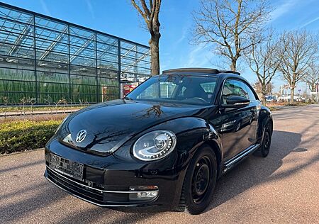 VW Beetle Volkswagen Lim. 1.6 TDI Cup Xenon/Panorama