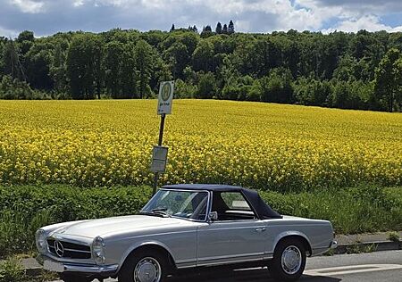 Mercedes-Benz SL 250 (W 113) Pagode