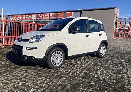 Fiat Panda Hybrid 1.0 51KW Klima Radio BT