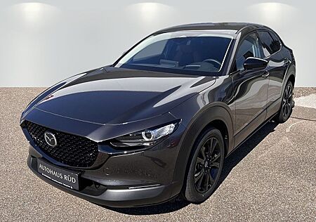 Mazda CX-30 5WGN 2.5L e-SKYACTIV G 140ps 6MT FWD Nagis