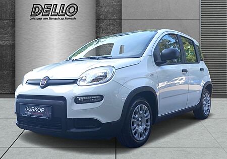 Fiat Panda Mild Hybrid DAB Bluetooth Parkpilot Klima