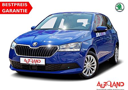 Skoda Fabia 1.0 TSI Clever Navi ACC PDC DAB Totwinkel