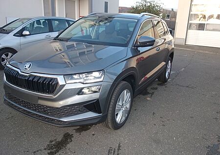 Skoda Karoq Drive Plus