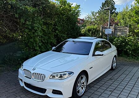 BMW 518d Luxury Line, M Paket, Alcantara, Standhz.