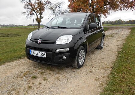 Fiat New Panda 1.2 EASY
