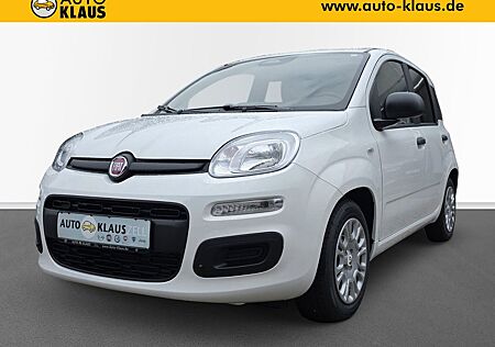 Fiat Panda Pandina 1.0 Icon