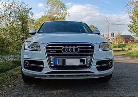 Audi SQ5 3.0 TDI competition tiptronic quattro -