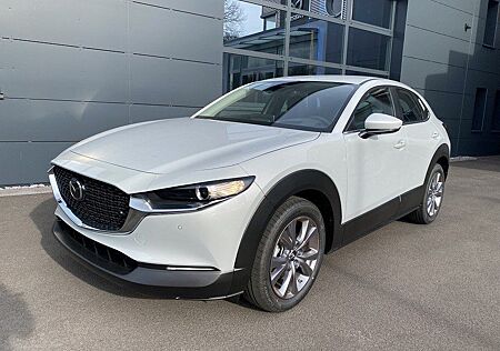 Mazda CX-30 Exclusive-line 122 Automatik Metallic