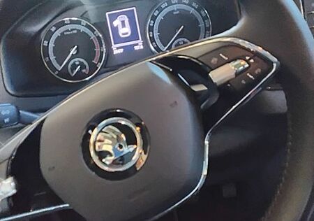 Skoda Karoq 1.5l TSI ACT AMBITION AMBITION