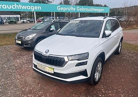 Skoda Karoq Drive 4x4 Automatik TDI Anhängerkupplung