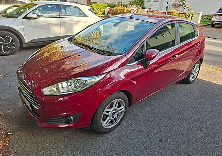 Ford Fiesta 1,6 TDCi 70kW Titanium 8 fach Alu