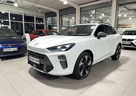 Cupra Terramar 2.0 TSI VZ 4D. Pano Senn AHK 360° LM20