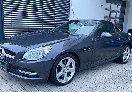 Mercedes-Benz SLK 250 SLK Roadster BlueEfficiency