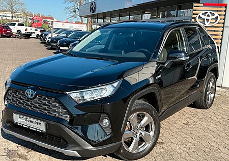 Toyota RAV 4 RAV4 Hybrid Team D **TECHNIKPAKET**