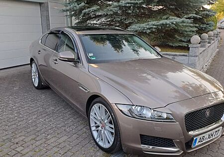 Jaguar XF 30d 300PS Portfolio Automatik Portfolio