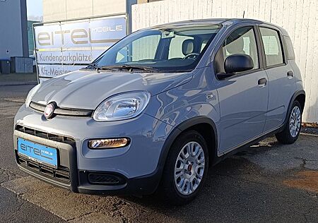 Fiat Panda Mild Hybrid Klima DAB
