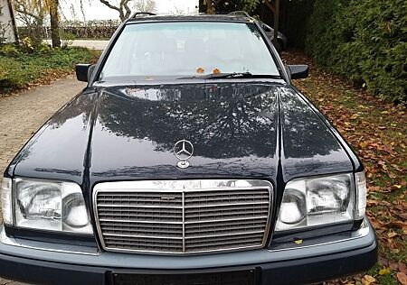 Mercedes-Benz 250 gebraucht kaufen Mercedes-Benz 250