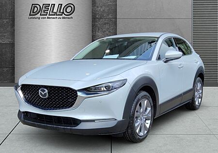 Mazda CX-30 Centre-Line 2.5 M-Hybrid Design-Paket HUD