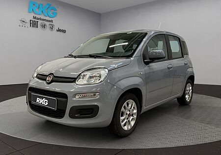 Fiat Panda Lounge 1.2 8V 5 Sitze+Allwetterreif.Alufel