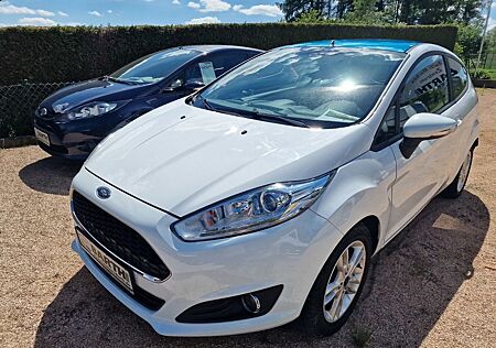 Ford Fiesta Celebration, Winterpaket, NSW,