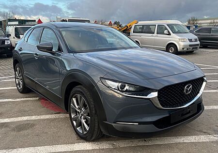 Mazda CX-3 CX-30 Luxury *KAMERA*NAVI*180PS*Voll