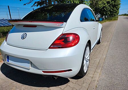 VW Beetle Volkswagen 2.0 TSI Sport R-Line Fender