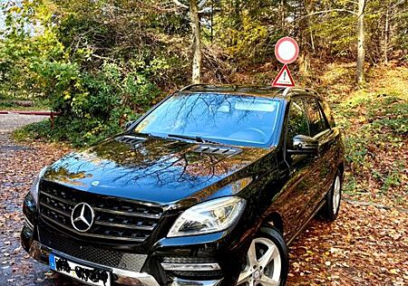 Mercedes-Benz ML 250 BlueTEC 4MATIC aus 1 hand
