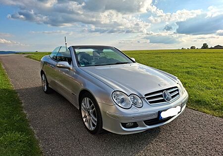 Mercedes-Benz CLK 500 gebraucht kaufen Mercedes-Benz CLK 500 5,5l V8 AVANTGARDE