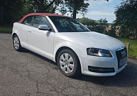 Audi A3 2.0 TDI Attraction Cabriolet Attraction