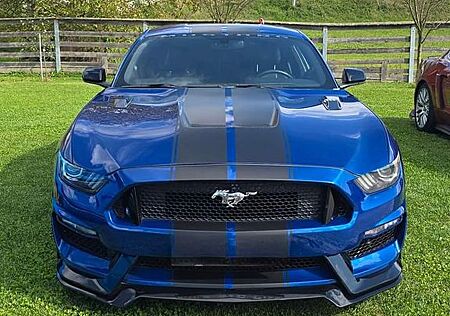 Ford Mustang 3,7 V6 GT°Shelby Look°