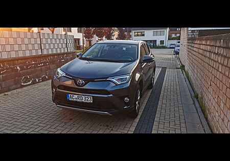 Toyota RAV 4 2,5-l-Hybrid Team Deutschland Auto 4x4...