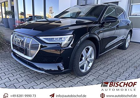 Audi e-tron 55 quattro advanced Kamera T-Leder Car-Pl