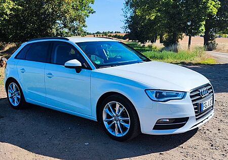 Audi A3 2.0 TDI S tronic Ambition Ambiente