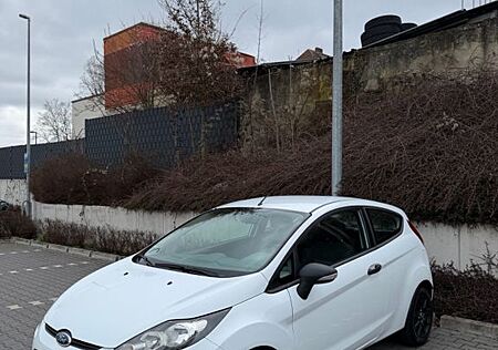 Ford Fiesta Ambiente 1.25 (EZ 2009) | 8-fach bereift