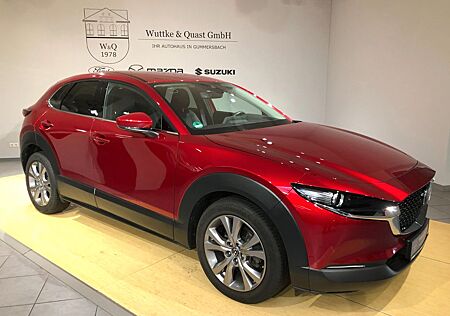 Mazda CX-30 SKYACTIV-G 2.0 M Hybrid Selection Matrix