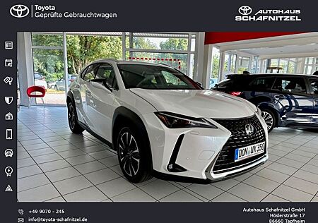 Lexus UX 250h Style Ed. 2,0l *LED*ACC*KAMERA* MJ2023 *
