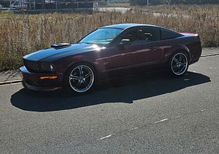 Ford Mustang REGENCY