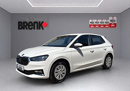 Skoda Fabia 1.0 TSI DSG Selection *SHZ/PDC/APP/Klima*