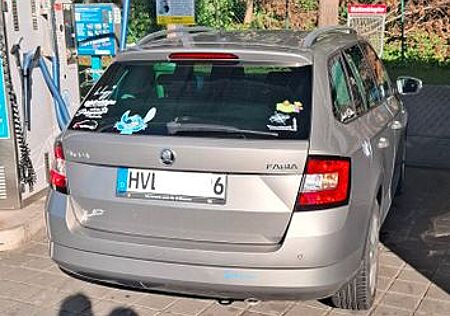 Skoda Fabia 1.0l TSI 81kW CLEVER CLEVER