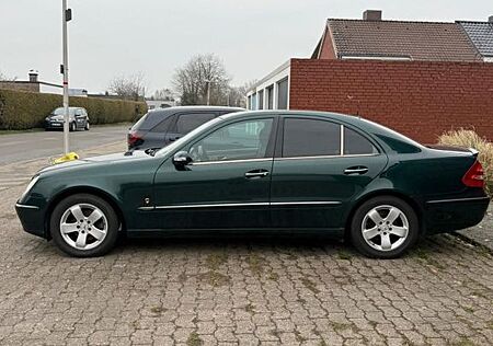 Mercedes-Benz E 220 CDI ELEGANCE Elegance