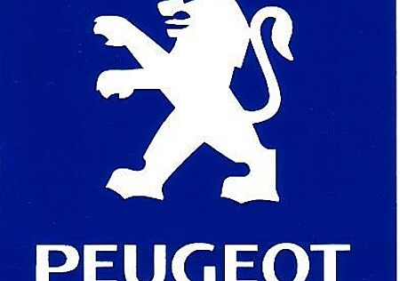 Peugeot 206 CC AUTOMATIK PLATINUM 110 FACELIFT *LEDER*