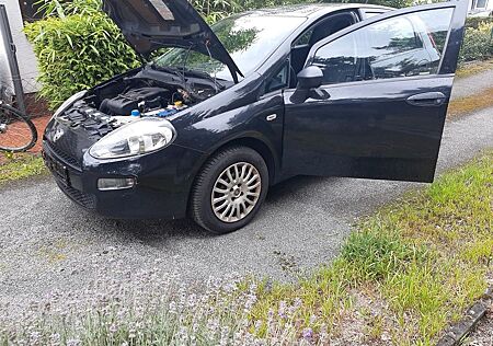 Fiat Grande Punto Tüv und Au Neu 1 Hand
