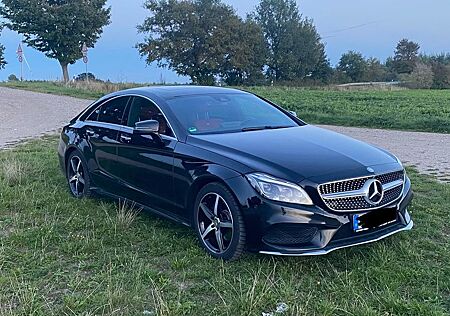 Mercedes-Benz CLS 250 BlueTEC -Motor 147000km Orginal