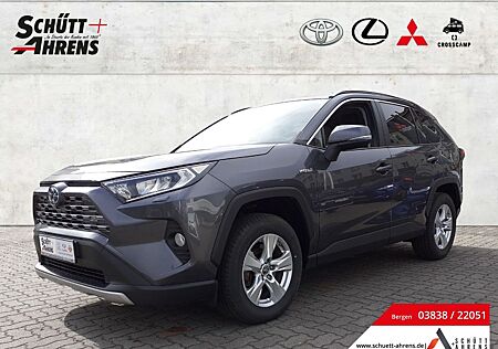 Toyota RAV 4 H3 Business AWD Leder LED ACC Apple CarPla