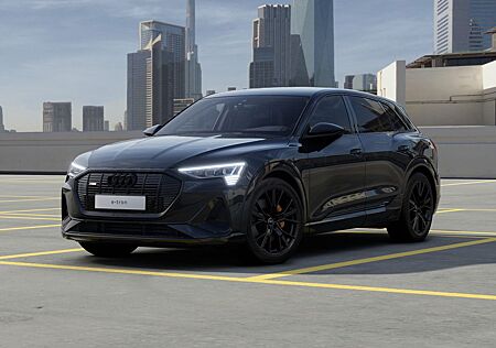 Audi e-tron 50 quattro S line Matrix-LED Navi B&O DAB
