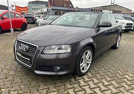 Audi A3 2.0 TDI Cabriolet Amb.*Klimaautom/PDC/Leder*