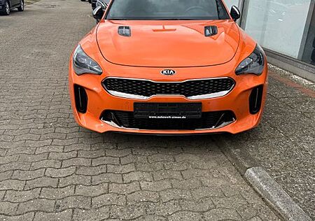 Kia Stinger 3.3 T-GDI AWD GT GT
