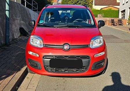 Fiat Panda 1.2