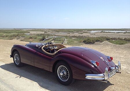 Jaguar XK 140 SE OTS C-Type Roadster | restauriert