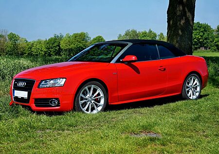 Audi A5 2.0 TDI (DPF) Cabriolet -